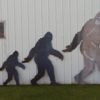 Sasquatch